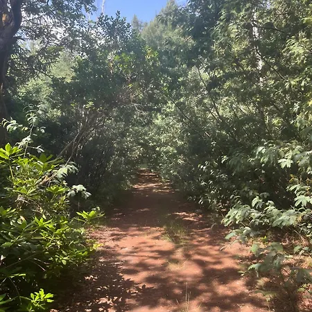 Maison De Namaste Holiday home Merignac (Gironde)