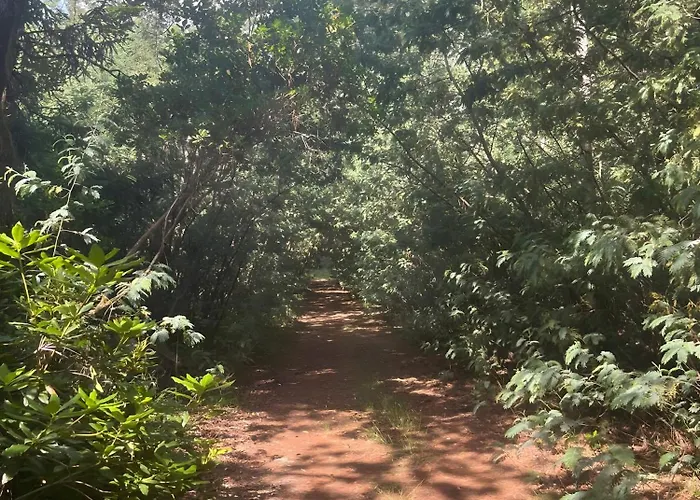 Maison De Namaste Casa de Férias Mérignac